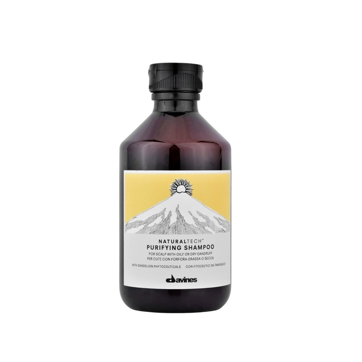 DAVINES - NATURALTECH - PURIFYING SHAMPOO (250ml) Shampoo purificante